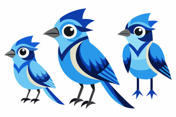 Blue Jay Graphic Design Set: 4 Unique Styles