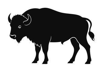 buffalo silhouette vector illustration 