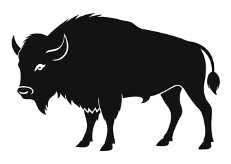 buffalo silhouette vector illustration 