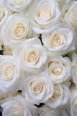   A macro photo of white flowers with water droplets on their petals