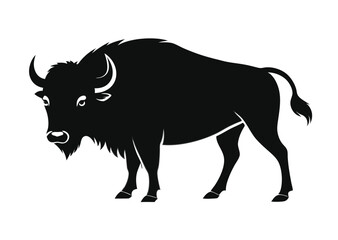 buffalo silhouette vector illustration 