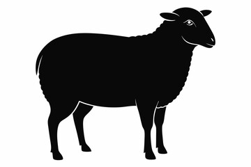 
Silhouette of sheep, sheep icon, Sheep silhouette isolated on white background. Vector illustration

