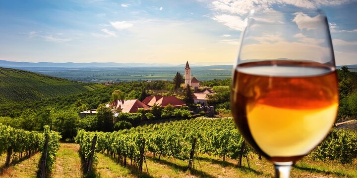 Aszu Tokaji in a glass. A sweet dessert wine made from overripe grapes with the help of mold that concentrates grape sugars and flavors. In the background a landscape of the Tokaj wine region.