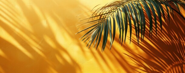 Palm Leaf Shadow on a Yellow Wall