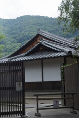 Bamboo Forest in Kyoto