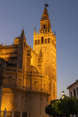 Fototapeta premium Night time view of the Seville Cathedral.