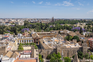 Obraz premium View of Seville from the roof of the Cathedral.