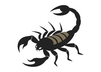 scorpion silhouette vector illustration white background  