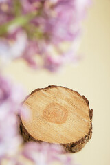 saw cut of a round tree and lilac branches on a beige background, product presentation with lilac