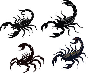 scorpion silhouette vector illustration white background  