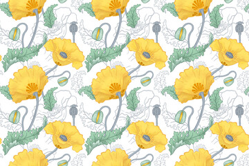 Pattern of yellow poppy flowers, leaves and buds, floral pattern for fabric, paper, background, botanical ornament
