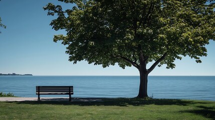 A lone empty bench awaits customers under a shady tree beside Lake Ontario in Bluffers Park Scarborough on a bright sunny day : Generative AI