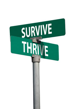 survive thrive sign