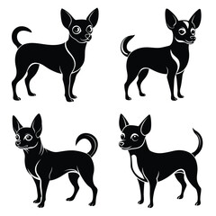 Chihuahua  dog silhouette vector