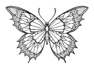 butterfly coloring pages and graphic element.