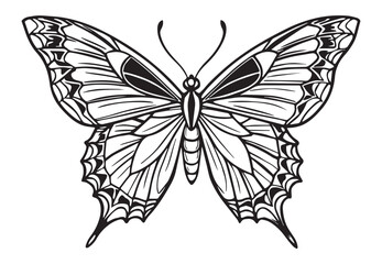 butterfly coloring pages and graphic element.