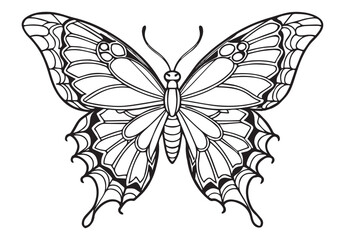 butterfly coloring pages and graphic element.