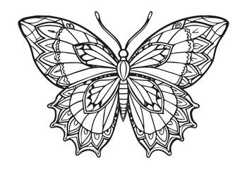 butterfly coloring pages and graphic element.