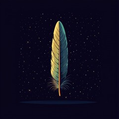 Single Feather Against a Starry Night Sky