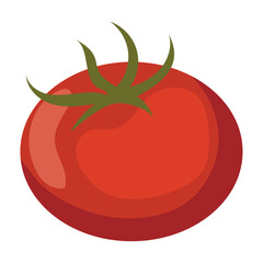 Tomato Vegetable icon Healthy food Vector