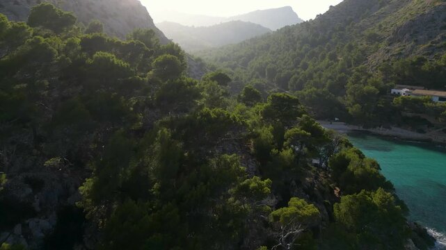 Panoramic view of the coastline of Mallorca with trees on rocky cliffs, 4k