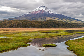 West face of the Cotopaxi volcano with the Limpiopungo marsh and his reflection in a pond