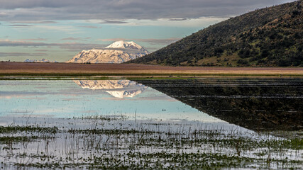 Fist light on the Limpiopungo lagoon with view and reflection of the Chimborazo volcano
