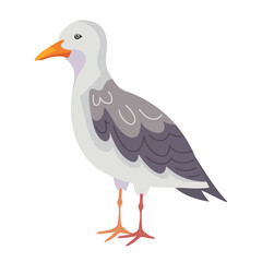 seagull bird cartoon