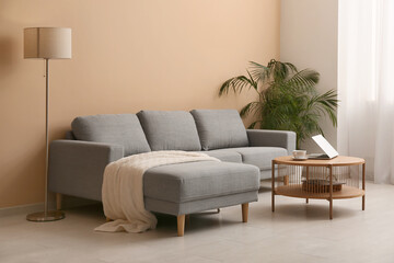 Cozy sofa, houseplant and coffee table near beige wall in living room