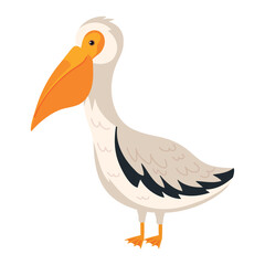 Obraz premium pelican bird cartoon