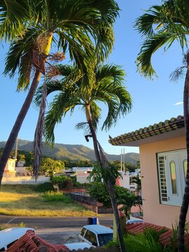 Morning in Puerto Rico