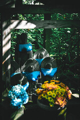 鎌倉にあるお寺