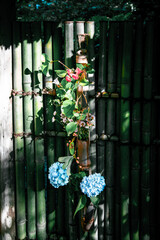 鎌倉にあるお寺