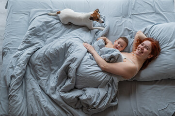 Top view of a red-haired Caucasian woman lying in bed with her baby son and Jack Russell terrier dog. 