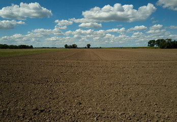 Soil texture background for gardening. Organic gardening. Agriculture concept. Mud on field. Soil...