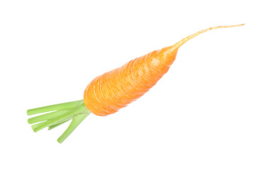 One fresh ripe carrot isolated on white