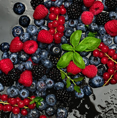 Summer berries mix background. Berries background. Blueberry, raspberries and blackberry. Berries pattern. Fresh berries mix.