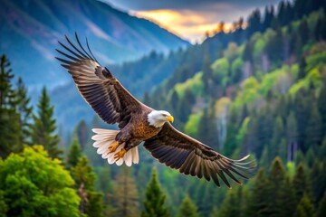 Obraz premium A large eagle is flying over a forest with mountains in the background