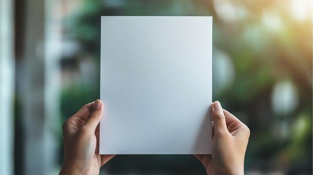 woman hands holding trifold blank brochure