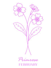 February Purple Birth Flower Vector