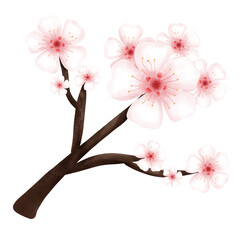 Mid autumn rabbit and moon