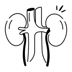 Doodle style icon of kidneys 