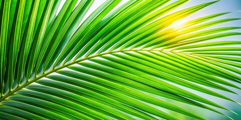 Fototapeta premium Tropical palm tree leaf photographed up close, Palm, tree, leaf, green, nature, exotic, tropical, plant, close up, textured