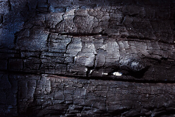 Burnt tree bark. Forest fire safety. Environmental protection and Earth Day. 