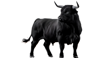 How about: Black and white bull illustration isolated on white background, featuring a cartoon-style cow with horns