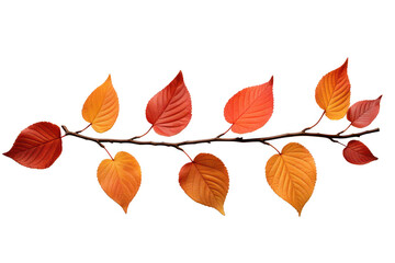 Obraz premium A line of orange and red leaves on a white background