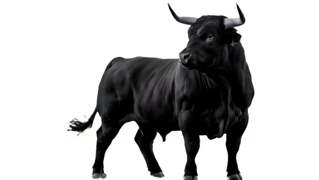 How about: Black and white bull illustration isolated on white background, featuring a cartoon-style cow with horns