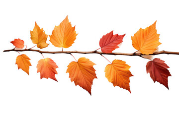 Naklejka premium A row of orange leaves on a branch