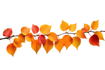 A row of orange leaves on a white background