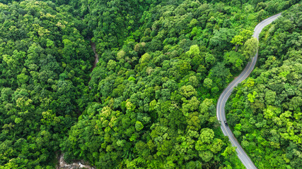 Road in the middle of the forest , road curve construction up to mountain, Rainforest ecosystem and healthy environment concept